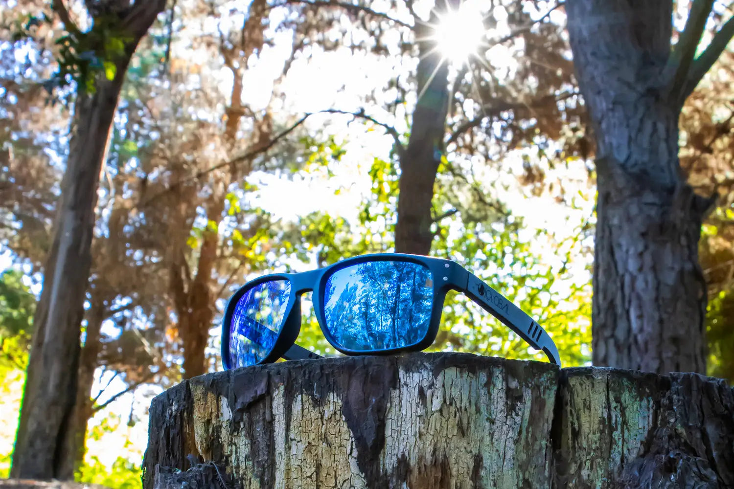 SHARK / BLUE POLARIZADOS