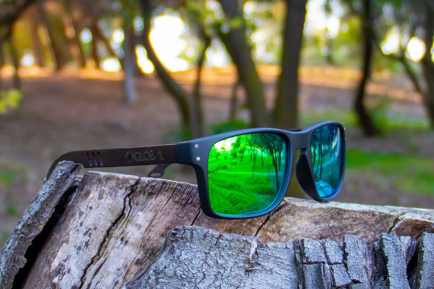 SHARK / GREEN POLARIZADOS
