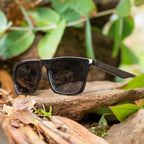INSPIRED / BLACK POLARIZADOS