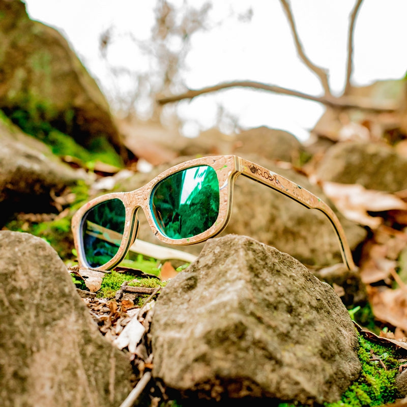 CORK GREEN / POLARIZADOS