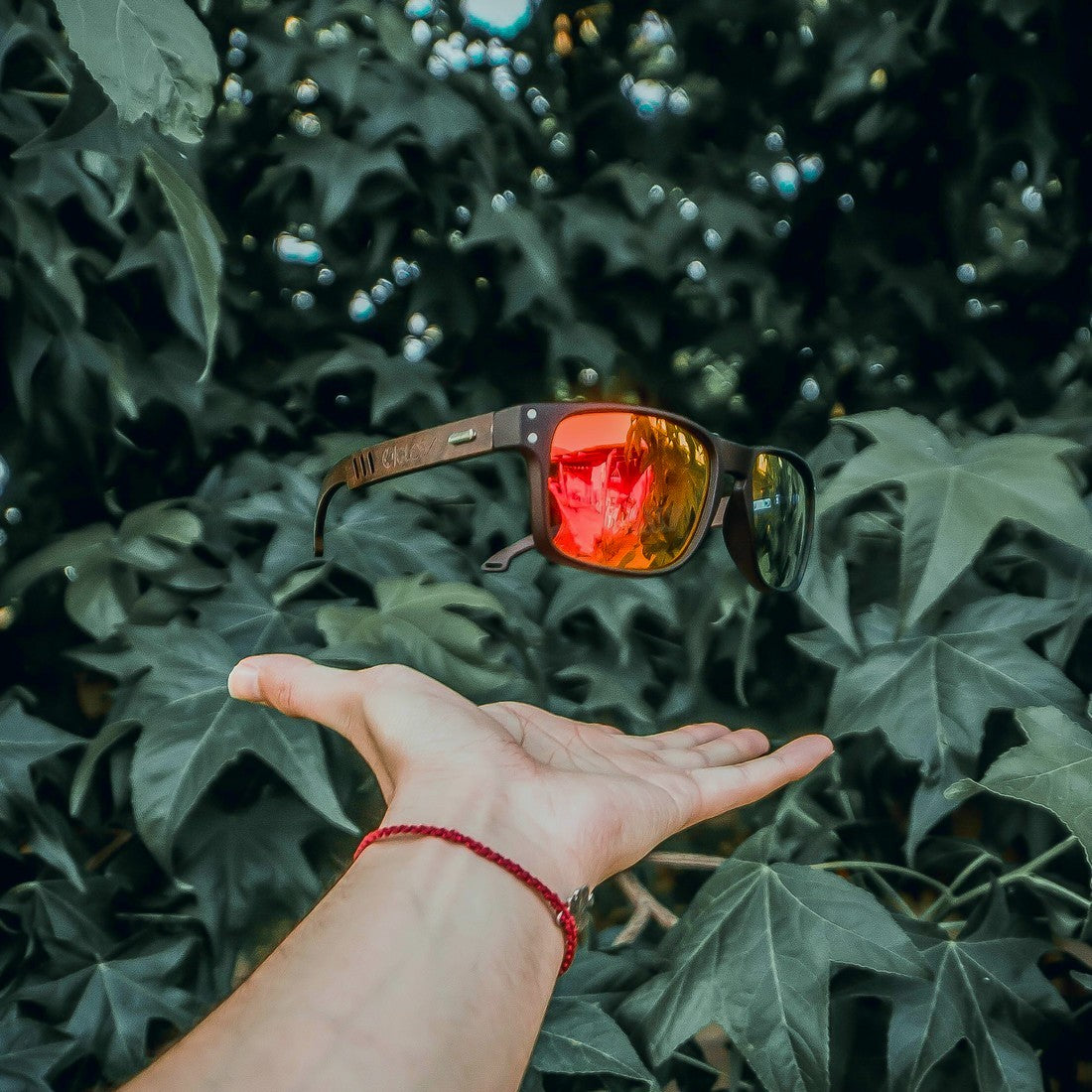 SHARK / RED POLARIZADOS