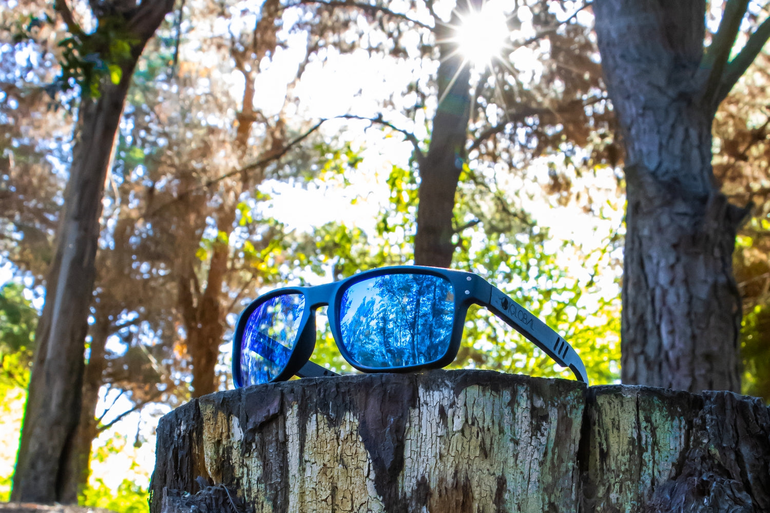 SHARK / BLUE POLARIZADOS