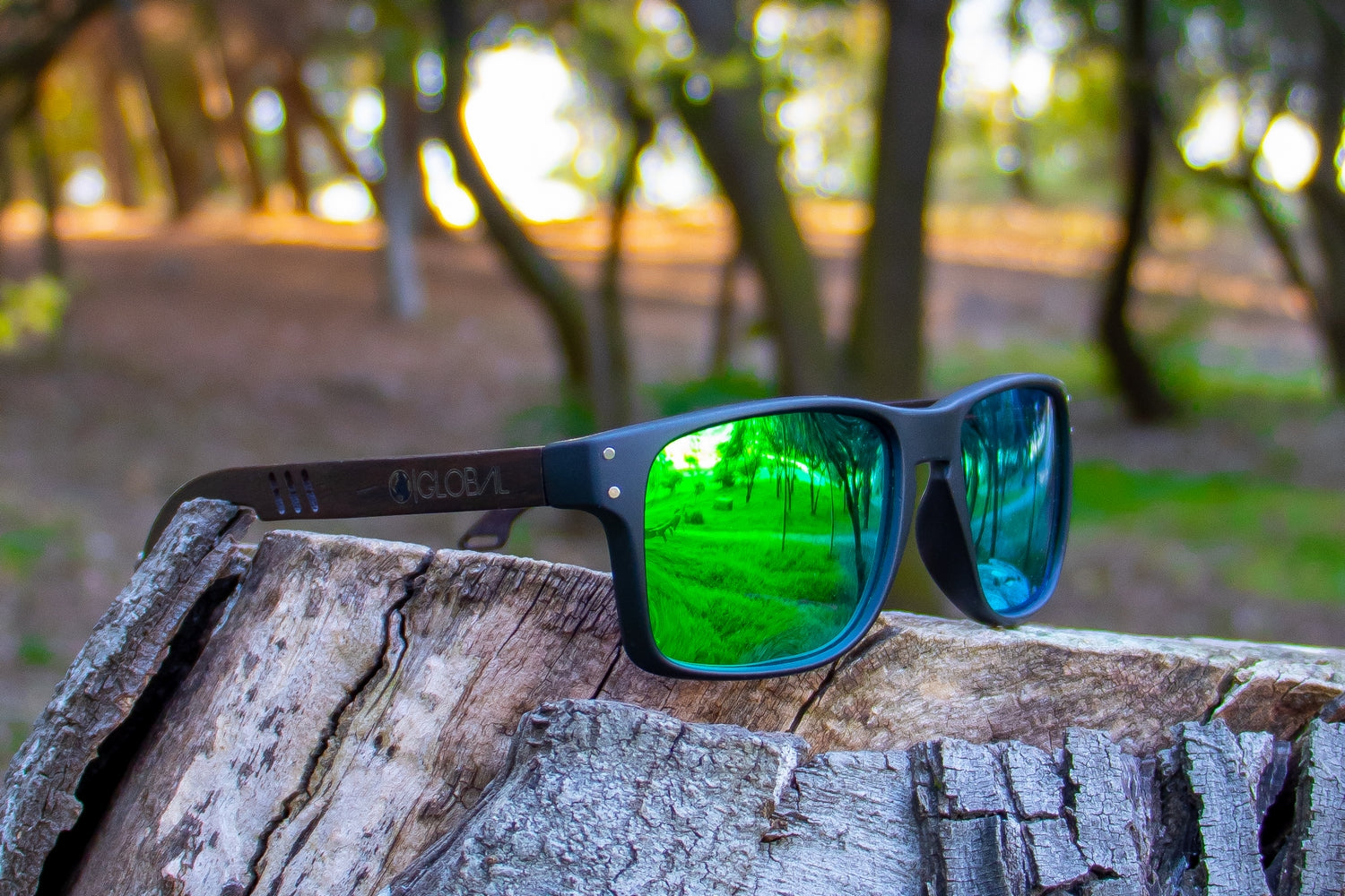 SHARK / GREEN POLARIZADOS