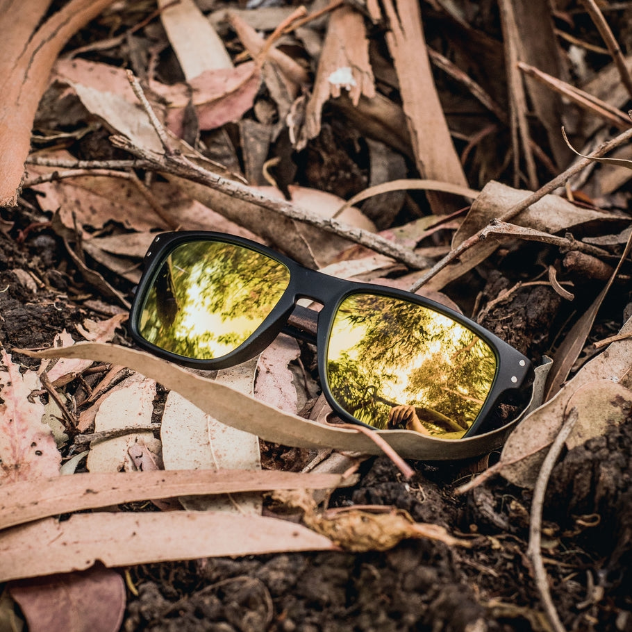 SHARK / IRIDIUM POLARIZADOS