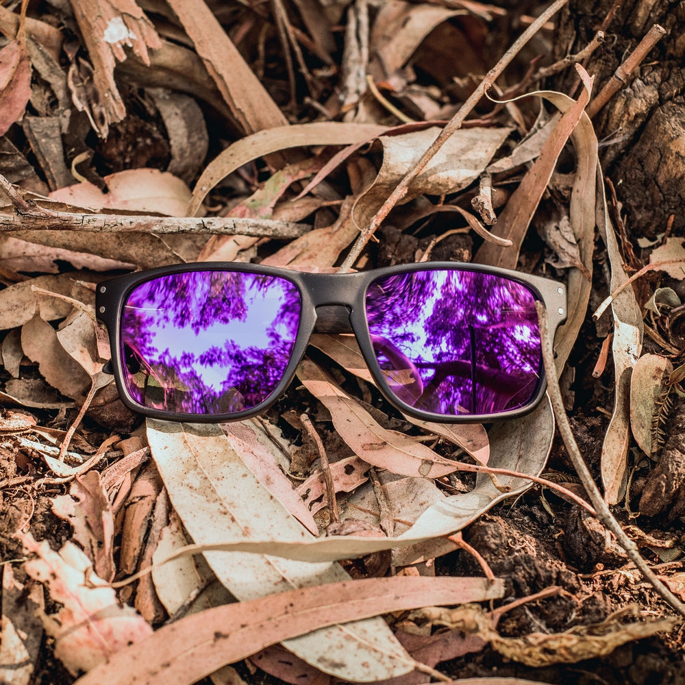 SHARK / PURPLE POLARIZADOS