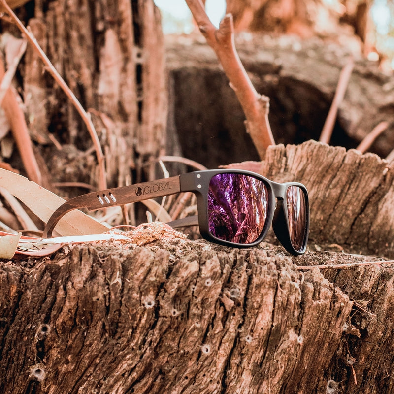 SHARK / PURPLE POLARIZADOS